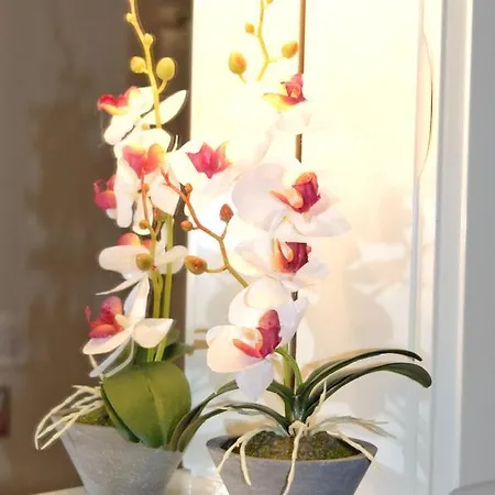 Appartamento Stella *